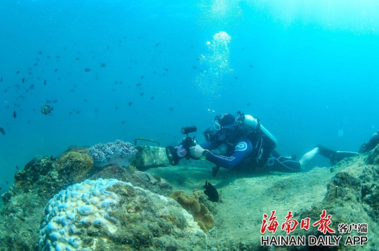 镇魔曲手游